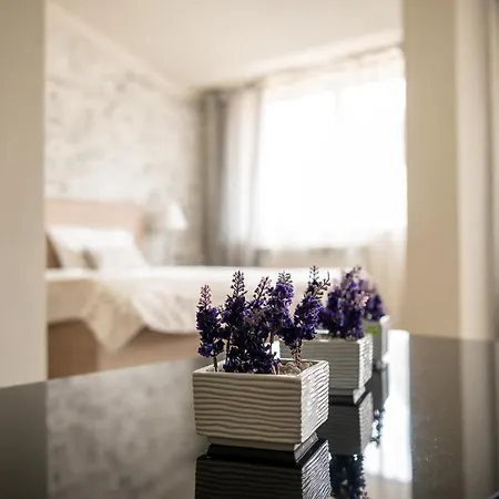 Hotel Marbu 3*